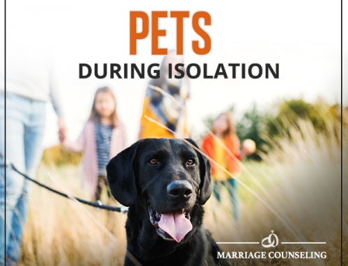 Pets During Isolation